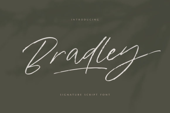Bradley: A Handwritten Font for Web Design