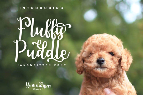 Fluffy Puddle Font for Editorial Design