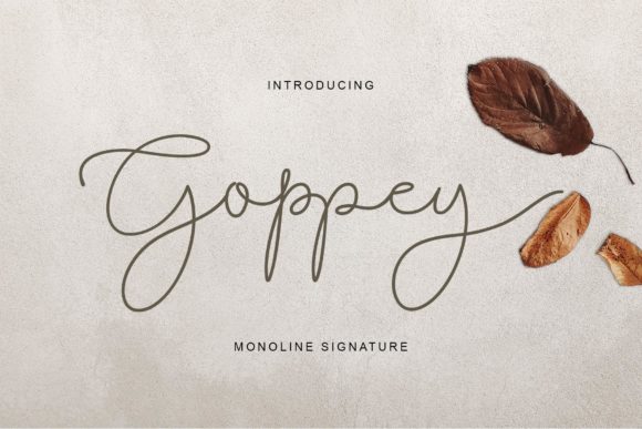 Goppey: A Delicate Font for Business Branding
