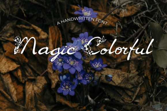 Magic Colorful Font for Web Design
