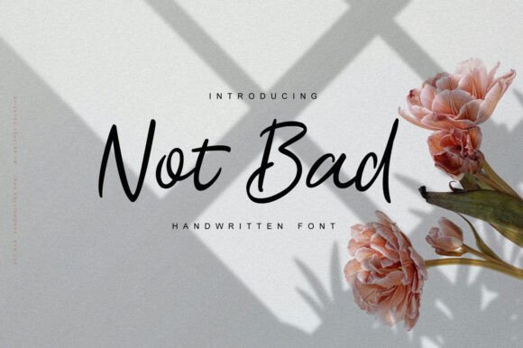 Not Bad Font for Web Design