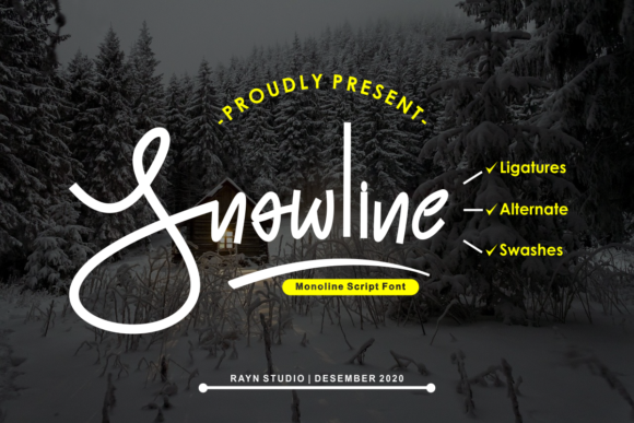 Snowline: A Stylish Font for Creative Campaigns
